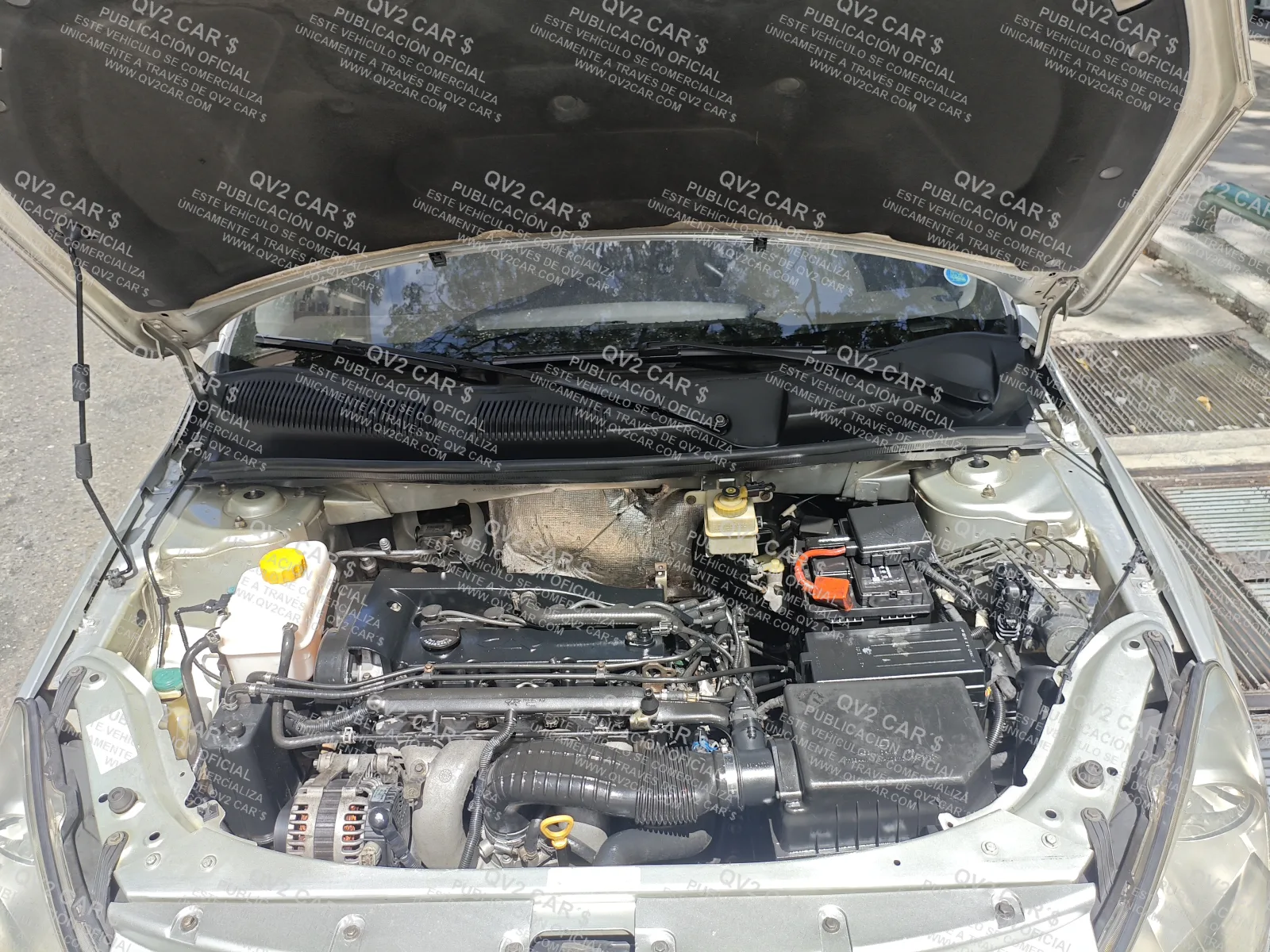 CHERY ORINOCO motor